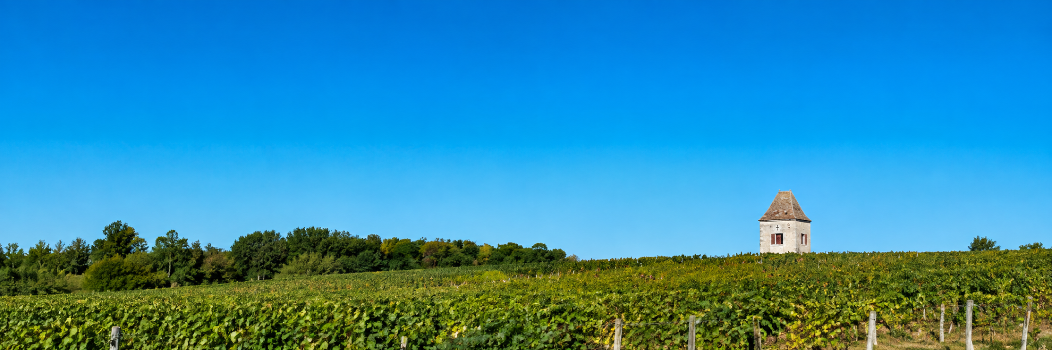 White pigeonnier above vineyard rows beneath a wide blue southwest France sky